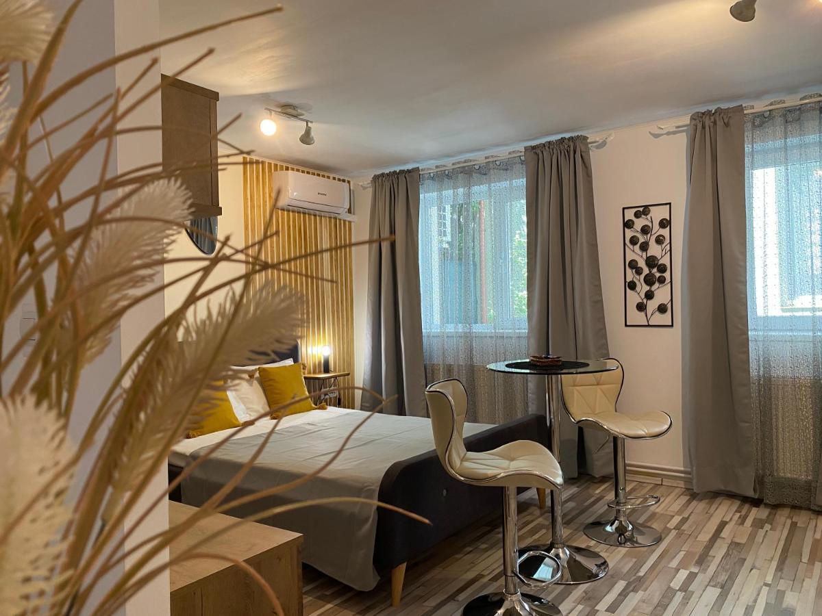 Urseni Studio Apartment Temešvár Exteriér fotografie