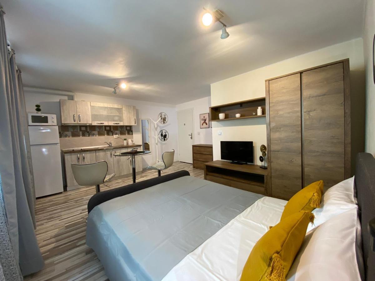 Urseni Studio Apartment Temešvár Exteriér fotografie