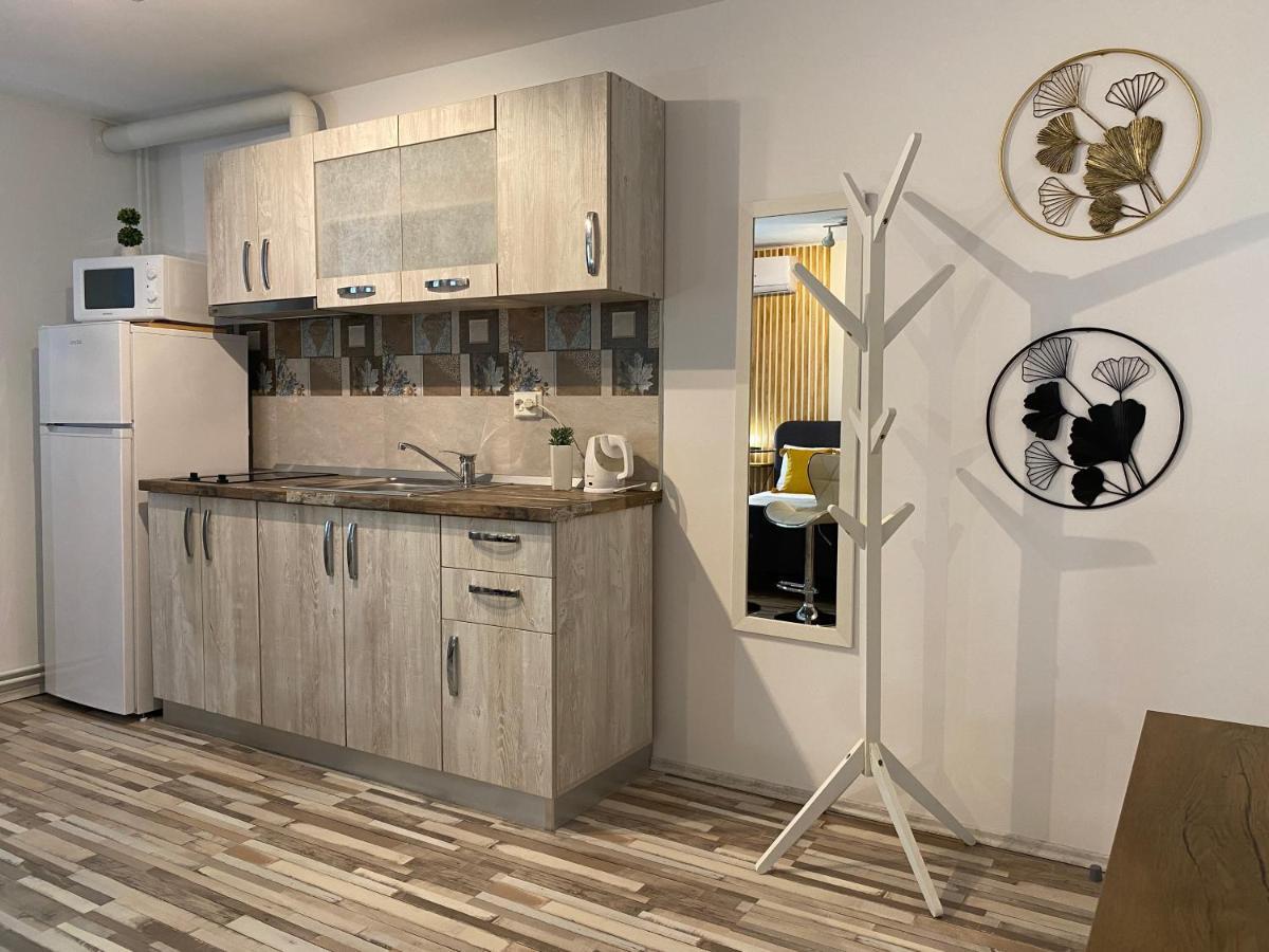 Urseni Studio Apartment Temešvár Exteriér fotografie